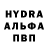ГАШ Premium BlindChaosPanda