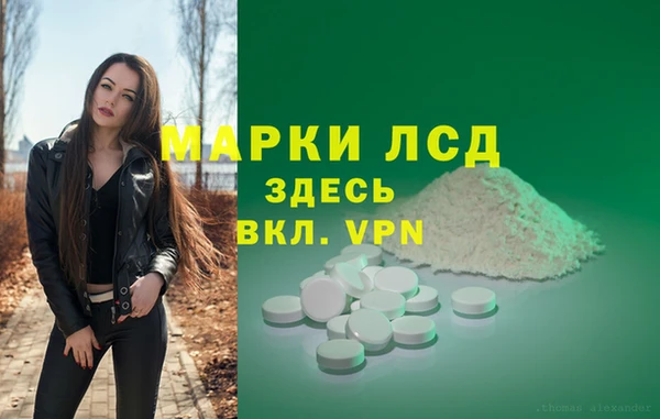 ПСИЛОЦИБИНОВЫЕ ГРИБЫ Верхнеуральск