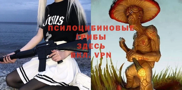 тгк Бронницы