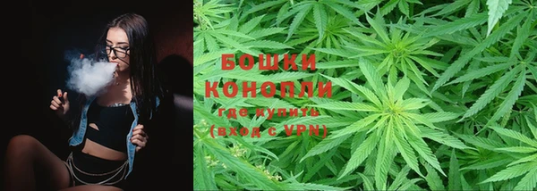 шишки Бугульма