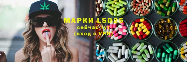 гашик Бородино