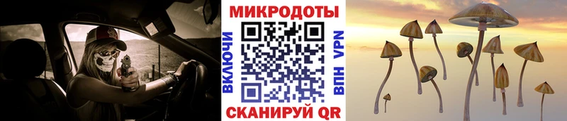 blacksprut сайт  Дигора  Галлюциногенные грибы Psilocybine cubensis 
